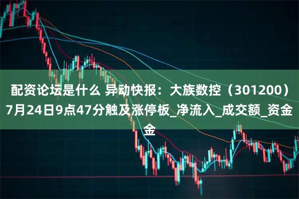 配资论坛是什么 异动快报：大族数控（301200）7月24日9点47分触及涨停板_净流入_成交额_资金