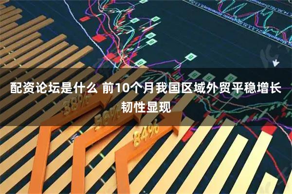 配资论坛是什么 前10个月我国区域外贸平稳增长韧性显现